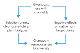A transgenic organism is an organism that has been genetically engineered to incorporate a foreign gene. Learn About Transgenic Organism Chegg Com