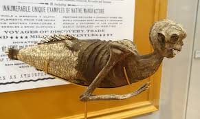 Mit flexionstabellen der verschiedenen fälle und zeiten ✓ aussprache und relevante diskussionen ✓ kostenloser. Fiji Mermaid Wikipedia