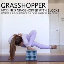 Janiceliou Check Out These Awesome Modifications To Help You Get Into Grasshopper Dragonfly Pose We Know These Yoga Movement Dragonfly Pose Dragonfly Yoga
