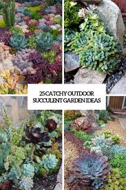 We did not find results for: 25 Catchy Outdoor Succulent Garden Ideas Digsdigs