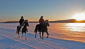 Wikipedia is a free online encyclopedia, created and edited by volunteers around the world and hosted by the wikimedia foundation. Five Of The Best Winter Wonderland Trips In The Saddle