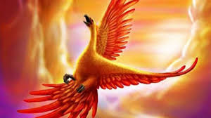 Phoenix stock photos and images (17,572). Vastu Tips Hanging Picture Of Phoenix Bird At Home Is Beneficial Know Why Astrology News India Tv