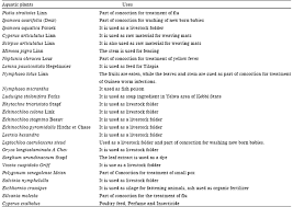 Image result for Rhytachne