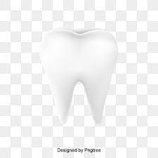Vector Tooth Tooth Clipart Tooth White Png Transparent Clipart Image And Psd File For Free Download Tooth Icon Cartoon Styles Background Banner