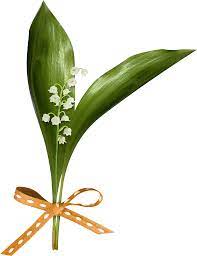 Livraison fleurs en france métropolitaine. Telecharger Image Muguet Gratuit De 300 Belles Photos Et Images De Muguet Pixabay