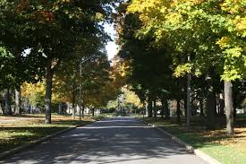 The Avenue Saint Mary S College Notre Dame In Saint Marys College Saint Marys Magical Places