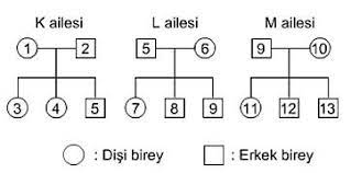 En Hizli Kalitim 8 Sinif Test Pdf