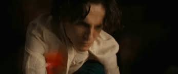 I not read book and i not watched movie. Key Timothee Chalamet As Paul Atreides In Dune