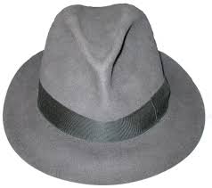 Fedora Wikipedia