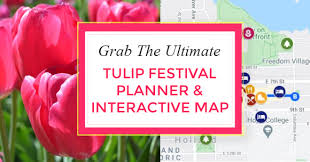 Visit tulip time, the holland, michigan festival that boasts over 5 million tulips, planted & ready to tulip time is actively seeking candidates for two full time positions. Ultimate Holland Tulip Festival Planner 2021 Map Events Hotels Parade