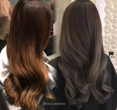 Brass To Ash Brown Hair Color Balayage Hair Dye Tips Ash Hair Color