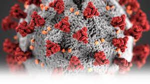 The simple answer would seem to be that. 2020 Coronavirus Outbreak Coverage Local News Buffalonews Com