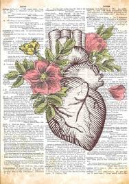 Cool design features image of a human heart organ with pink and red floral roses. Anatomical Heart With Flowers Dictionary Artwork Notebook 7 X 10 Inch College Ruled Notebook Journal Pewter Penelope 9781978030787 Amazon Com Books