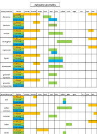 Www Aurores Fr Rsrc 1360488488054 Cours De Jardinage Jardinons Avec La Lune Calendrier 20des 20tailles 20word 1 Jpg Periodic Table Dyi