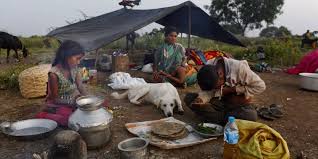 نتیجه جستجوی لغت [nomadic] در گوگل