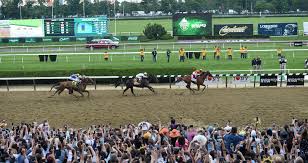 The record for belmont victories by a trainer is eight by james rowe, who trained. Belmont Stakes Shortened Will Run On June 20th South Florida Reporter