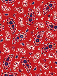 Check spelling or type a new query. Free 39 Paisley Pattern Designs In Psd Vector Eps Ai
