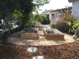 Small deciduous tree noted for its white flowers in spring followed by edible fruit in summer. Design Front Yard Veggie Garden Gardenerd
