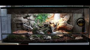 Corn Snake Enclosure In 2020 Corn Snake Snake Enclosure Snake Terrarium