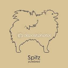 H Siloyeta Ths Fylhs Skyloy Pomeranian Spitz Disegni Idee Per Tatuaggi Volpino