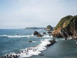 Image result for Sehima