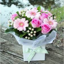 From the blue mountains to sydney harbour, there. Flowers Delivery Sydney Same Day Flowers For Everyone