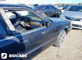 Image result for Midnight Blue 1992 Dynasty