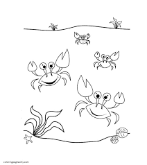 More crab coloring pages images. Dancing Sea Crabs Coloring Pages Crab Coloring Pages Coloring Pages For Kids And Adults