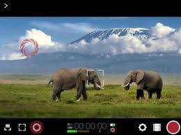 Download 4pda apk for android, apk file named ru.fourpda.client and app developer company is 4pda. Filmic Pro 4pda Filmic Pro V6 13 2 Patched Apk Latest