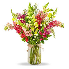 2,311 flower mason jar products are offered for sale by suppliers on alibaba.com, of which storage bottles & jars accounts for 1%, bottles accounts for 1. Super Snapdragons In Mason Jar Delivery Buy Online Send Florist Ca
