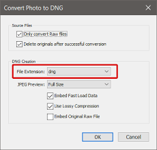 This setting allows you to choose between the two different image formats lightroom can provide tiff support my desired bit depth and color space while retaining great compatibility with other software. Lightroom Classic Converting Raw Dng To Lossy Dng Doesn T Honor File Extension Case Setting Adobe Photoshop Family
