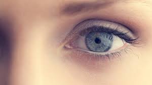 Vous Pensez Avoir Les Yeux Bleus Detrompez Vous Ils Sont Bruns Lci Catherine, fille d'un rebouteux, est amoureuse d'un jeune médecin. vous pensez avoir les yeux bleus