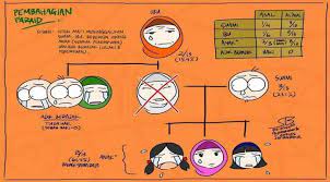 Antaranya ialah menentukan, memastikan, menghalalkan dan mewajibkan. Hukum Pembagian Harta Waris Yang Berlaku Di Indonesia Hukum Surat Wasiat Suami