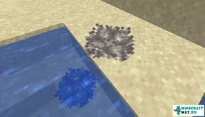 For education edition, left click and hold on the tube coral fan. Dead Fan Tubular Coral Dead Fan Coral How To Craft In Minecraft