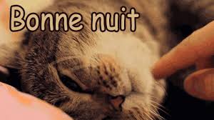bonne-nuit-gif-31.gif - Casimages.com