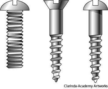 American Heritage Dictionary Entry: screwed