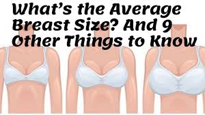 Check spelling or type a new query. What S The Average Breast Size And 9 Other Things To Know Ii Health Tips 2020 Youtube