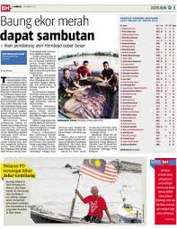 Allah merahsiakan masa depan untuk menguji kita agar berprasangka baik. Baung Ekor Merah Dapat Sambutan Klik