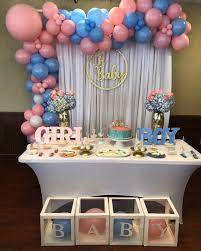 Gender Reveal Gender Reveal Decorations Baby Gender Reveal Party Decorations Gender Reveal Party Theme