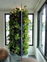 Pin By Or Arie On Plants Vertical Vegetable Gardens Indoor Vegetable Gardening Vertical Vegetable Garden