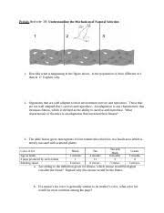 Describe how the population of mice is different 4. Covid19 Bio105 Lab 10 Evolution By Natural Selection Docx Prelab Activity 10 Understanding The Mechanism Of Natural Selection 1 Describe What Is Course Hero