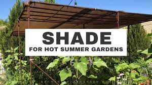 How to build shade house. How To Create Shade In The Garden Growing In The Garden