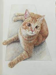 If you are looking for more color variety, try these paint markers for artists. Cat Color Ballpoint Pen Drawing Animals Cai Animals Cat Colors Animal Drawings
