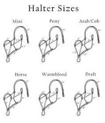 The following procedure is used for making a rope halter Sizes And Measurements For Rope Halters Horse Tack Horse Halters Horses