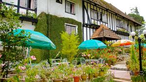 Cameron Highlands Hotels Find Book Cheap Hotel Deals In Cameron Highlands Expedia