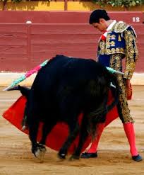 ANTONIO PUERTA REPRESENTARÁ A LA E.T. DE MURCIA EN ALBACETE |  Torosnoticiasmurcia