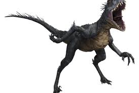 Image result for Musanga leo-errerae