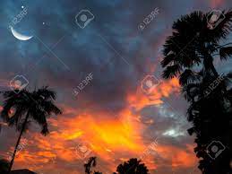 The silver moon race is about challenging yourself, taking your endurance ability, and miles to new heights. Moon Smile And Silhouette Palm Tree Sunset Sky Elements Of This Image Furnished By Nasa Stock Photo Picture And Royalty Free Image Image 91518463