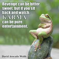 Looking Forward To It Fun Quotes Funny Karma Quotes Funny Quotes