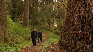 Check spelling or type a new query. Oregon Rainforest Rickreall Creek Roots Shoots